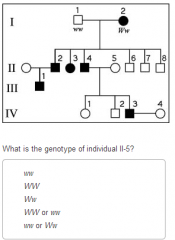 The following question refer to the pedigree chart in the figure below for a family, some of whose members exhibit the dominant trait, W.  Affected individuals are indicated by a dark square or circle.