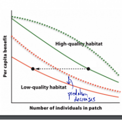 Suppose that the graph represents the distribution of individuals in patches of low and high quality and with and without predators?
Which curves represent the patches with predators?
