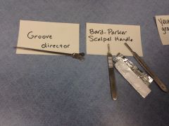 Groove Director & Bard - Parker Scalpel Handle