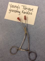 Young's Tongue Grasping Forceps