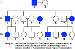 the recorded ancestry, especially upper-class ancestry, of a person or family

S: ancestry

A:N/A