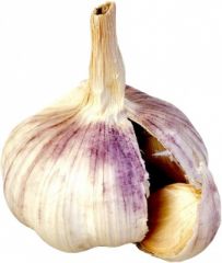 garlic /ga:rlik/