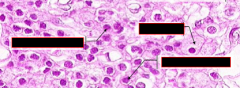Name cells from left to right