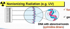 Formation of abnormal bonds within DNA (pyrimidine dimers). 

That may:
• Generate highly reactive free radicals.