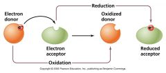 Biological Oxidation and Reduction:  Redox