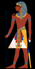 Il faraone aveva un potere assoluto. Era: il padrone delle terre e dei corsi d'acqua; capo supremo dell'esercito e dei sacerdoti; emanava le leggi e stabiliva le attività commerciali.