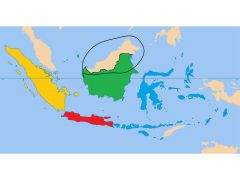 Indonesia
Borneo
New Zealand
Java