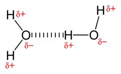 The diagram below
illustrates a(n) _________________.
a.  ionic bond       
b. 
polar covalent bond      
c.  non-polar covalent bond             
d.  hydrogen bond   
e. 
van der waals interaction
