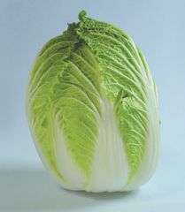 Nappa Cabbage