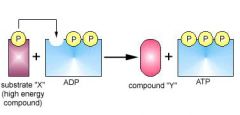Formation of ATP: 
ATP can be formed by 3 different methods.