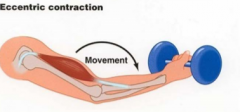 -muscle contraction resulting in lengthening the muscle 
-often used to control a movement 
eg. lowering a glass