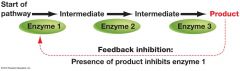 what is Feedback 
Inhibition ?
