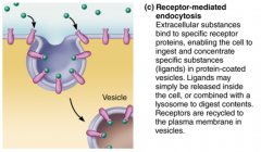 ...before molecule is taken in, it has to bind to certain receptors.
Example: the way cells take in LDL (bad   cholesterol)