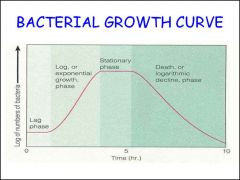 For the bacteria growth curve, what are the key features of each phase (4)? 

Which one has the most intense metabolic activity but little cell division?  Which phase is most susceptible to antibiotics? Which has the # of cells formed= # of cells dying?