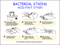 Why can't we use gram stains for the gram (+) MYCOBACTERIUM? What test do we need to use instead?