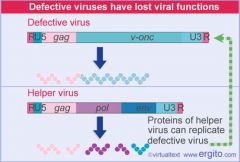 Most transducing RETROVIRUSES like ONCOVIRIDAE (literally cancer causing virus) that integrate an oncogene into the host membrane, are DEFECTIVE viruses because they don't have all the elements they need to function by themselves. Why? How do they still w
