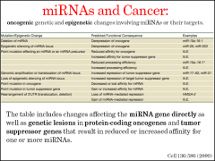 What kinds of functional outcomes might we expect to see as a result of this miRNA mechanism of RNA inhibition in cells?