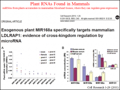You can get miRNAs taken up through diet, survive digestion, and occur at significanlty high levels in your blood. They can inhibit synthesis of receptors (control gene expression) in our own bodies. How do we know this is happening? Why is diet so import