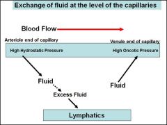 high ONCOTIC pressure in the VENULE end of capillary helps soak up the excess fluid in area. (remember albumin... MCP?...)

The LYMPH system helps pick up any excess fluid tissue (about 10%) that gets leftover. Pretty efficient little system!