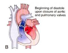Closure of aortic & pulmonary valves

SEMILUMAR VALVES