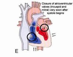 Closure of the tricuspid & mitral valves

ATRIOVENTRICULAR VALVES
