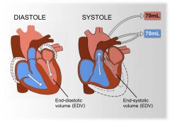 CO = HR x SV
The heart pumps blood in increments (SV)
Valves allow for filling and ejection 
Normal resting values are approx. 5 L/min (CO), 70/min (HR), and 70 ml (SV)