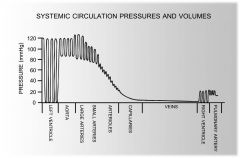 Largest pulse pressure is in LEFT VENTRICLE (120/0)
Mean pressure falls as blood flows from aorta to arteries, capillaries, veins, RA
Same pattern is repeated at lower pressures in the pulmonary circulation
Arterial pressures often measured indirectly,