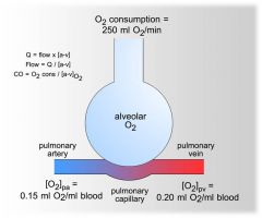 THE FICK PRINCIPLE!
Organ blood flow can be calculated on the basis of uptake or removal rate of a marker substance and the arterial and venous concentrations of that substance across the organ
Thus, cardiac output can be calculated based on OXYGEN CONS