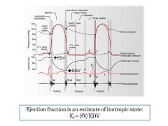 VENTRICULAR VOLUME! 
*top is End Diastolic Volume (EDV) 
* bottom is End Systolic volume (ESV)

Can use to help calculate EJECTION FRACTION! (proportion of the ventricular EDV that is ejected during SYSTOLE