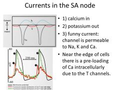 Action potential of SA nodes!