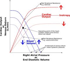 CVP (Central Venous Pressure) and CO are indirectly related to each other!

In frank starling curve:
In Hypervolemia--> shift to right 
In Hypovolemia--> shift to the left

*CO and CVP are inversely related when looking at vasular function, and DIRE