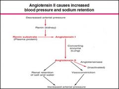 Angiotensin II is essential for recovery from hemorrhagic shock