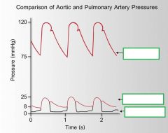 Which has more pulsitality , the aorta or pulmonary artery? Why?How could you look at a wigger's diagram and find this out?

Helpful hint: 
Pulse Pressure = Systolic Pressure – Diastolic Pressure
Pulsatility = Pulse Pressure/ Systolic = (Systolic-Dias