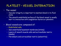 Media and adventitia:
-provide mechanical strength
-Enable blood vessels to constrict or dilate

Sub-endothelial basement membrane(intima): 
-Adhesive proteins – collagen, elastin, von Willebrand factor
-These proteins provide binding sites for plat