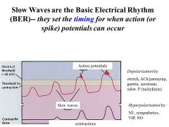 How are contractions generated? Why are SLOW WAVES (Basic Electrical Rhythm) BER not the same thing as ACTION POTENTIAL ("SPIKE" potential)  in the small intestine?