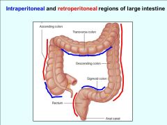 Colon- patient lying on his left side