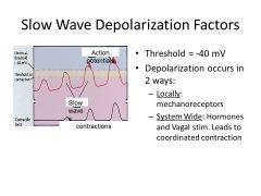 BER: 
sets max possible rate of propulsion down GI tract
Always present (RMP)
Variations of activity of Na/ K ATPase pump

AP:
CONTRACTIONS= AP on the PEAKS of the slow waves