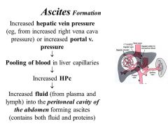Acities

Blood flow to the liver is crucial!! Obstruction can lead to acites, hepatomegaly, jaundice