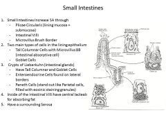 What happens to the number of goblet cells as you go down the tract of the small intestine?  What else changes as you move along?