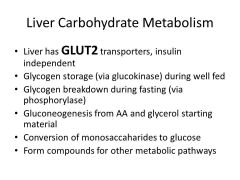 Glucokinase does what in the liver? phosphorylase does what in the liver?