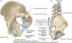 Common problems with the sacro-iliac joints
The sacro-iliac joints have both fibrous and synovial components, and as with many weightbearing joints, degenerative changes may occur and cause pain and discomfort in the sacro-iliac region. In addition, diso