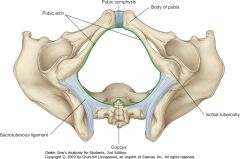 Pelvic measurements in obstetrics
In pregnancy, if it is thought that the size and position of the fetal head could cause problems in childbirth, accurate transverse and sagittal measurements of the mother's pelvic inlet and outlet can help in predicting