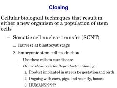 blastocyst can become human being!!! AHHHHHH