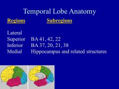 What happens in the TEMPORAL  lobe? What happens with a lesion in this area?