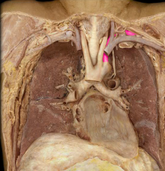 Left subclavian artery