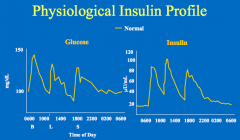 - With eating, there is an increase in insulin levels
- Insulin sends an anabolic signal to the tissues
- The insulin then returns to baseline (fasting levels) which is not zero