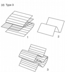 D. Type 3:


1. “Refolded folds” (all types are refolded)