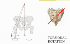 torsional rotation for walking

we use nutation/cn all the time because we breath.
