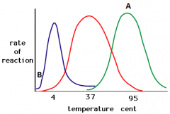 What is the
optimal temperature for the enzyme for the organisms represented by the line
labeled A.
a.  4 degrees C
b.  37 degrees C
c.  95 degrees C
d.  40 degrees C
