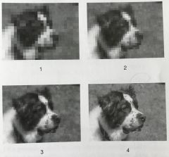 Which of the images in Figure 4-11 has the largest matrix size? 